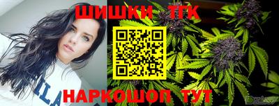 шишки Камень-на-Оби