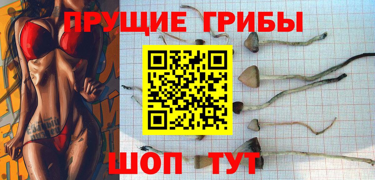 Коряжма  Псилоцибиновые грибы ЛСД  Вход с VPN 