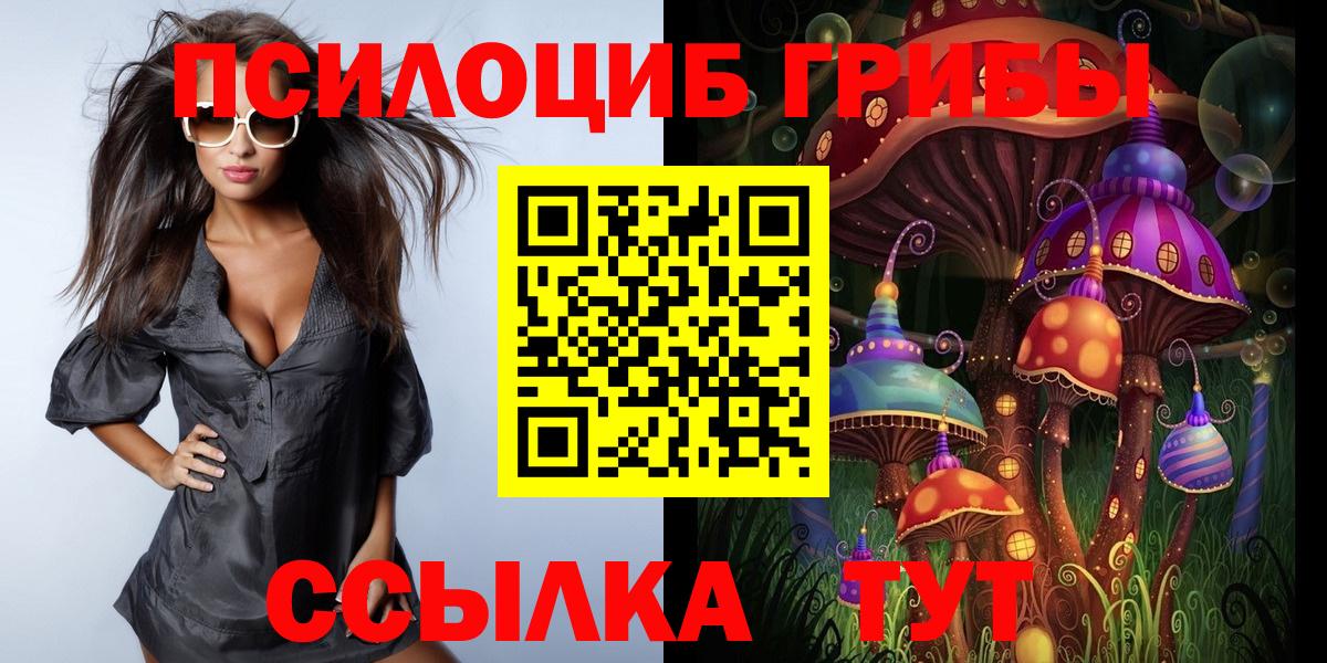 Галлюциногенные грибы Cubensis Коряжма